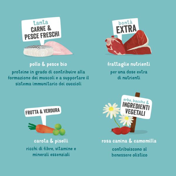 edgard & cooper puppy grain free bio 100gr immagine3