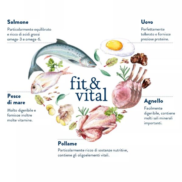 happy dog fit & vital mini light immagine6