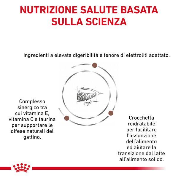 royal canin veterinary diet gastrointestinal kitten feline immagine5