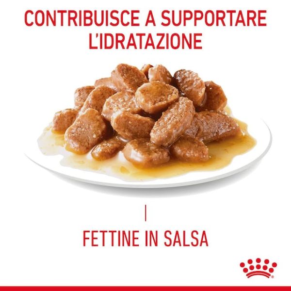 royal canin digest care in salsa immagine5