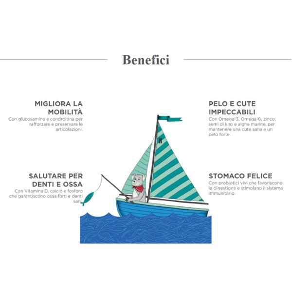 harper and bone adult mini ocean wonders immagine4