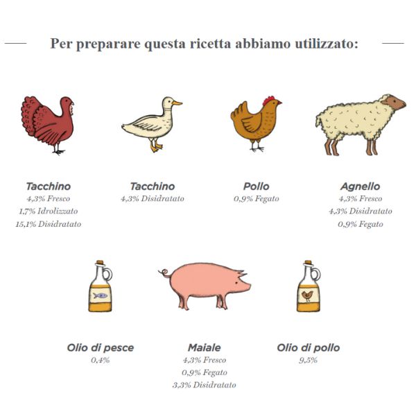 harper and bone adult mini fresh market immagine5