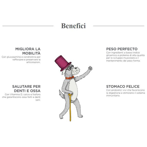 harper and bone senior flavours of the farm immagine5