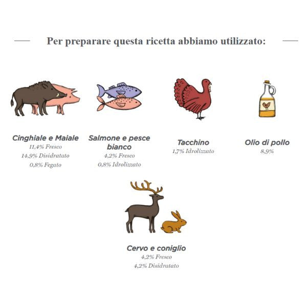 harper and bone adult medium/large wild mountain grain free immagine4