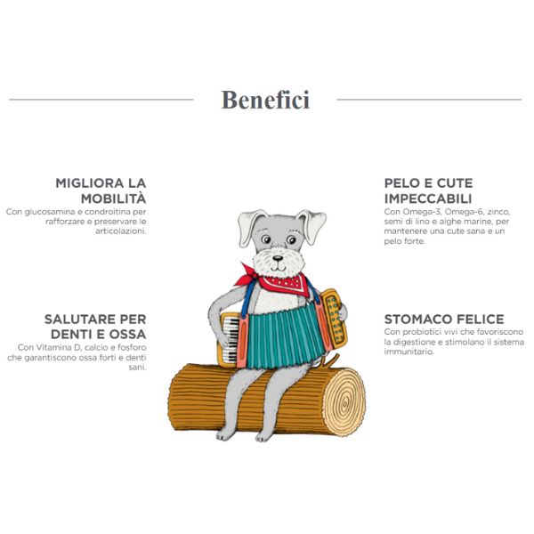 harper and bone adult medium/large wild mountain grain free immagine3