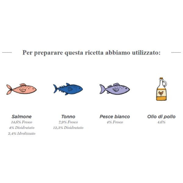 harper and bone adult medium/large ocean wonders immagine5