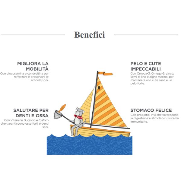 harper and bone adult medium/large ocean wonders immagine4