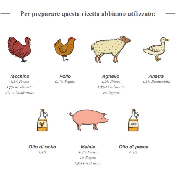 harper and bone adult medium/large grain free fresh market immagine5