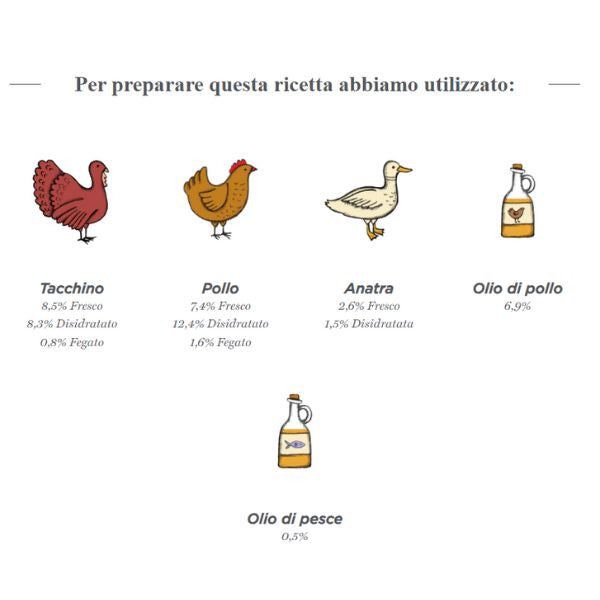 harper and bone adult medium/large flavours of the farm immagine5