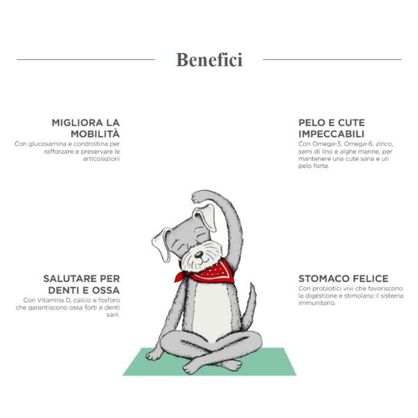 harper and bone adult medium/large flavours of the farm immagine4