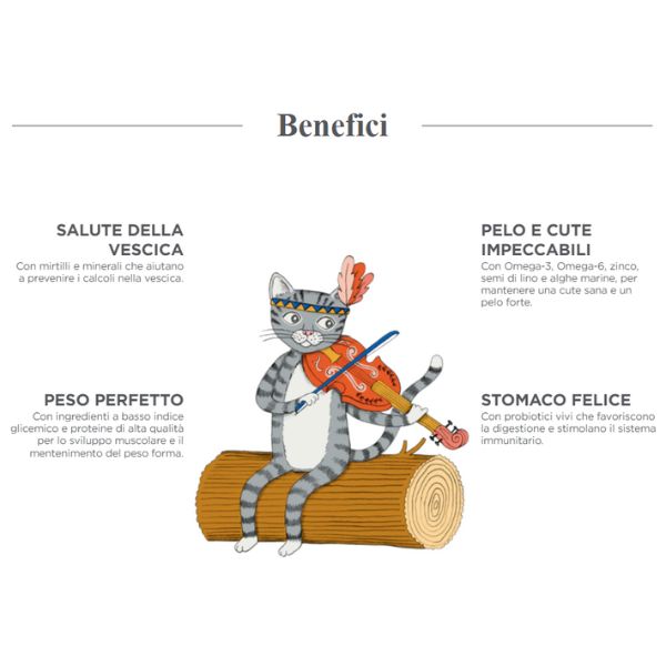 harper and bone sterilised cat grain free wild mountain immagine5