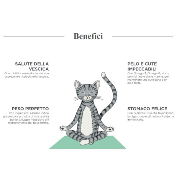 harper and bone sterilised cat flavours of the farm immagine4