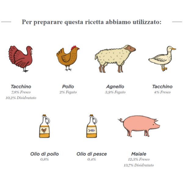 harper and bone sterilised cat grain free fresh market immagine4