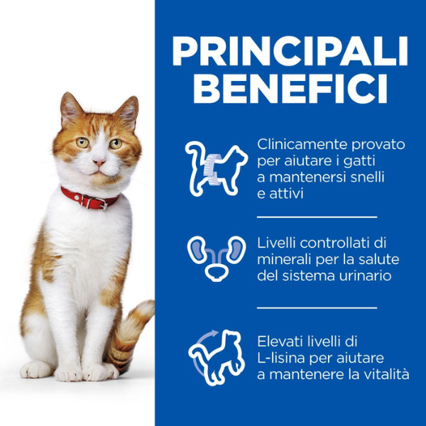 hill's science plan adult up to 6 years sterilised cat 85 gr immagine4