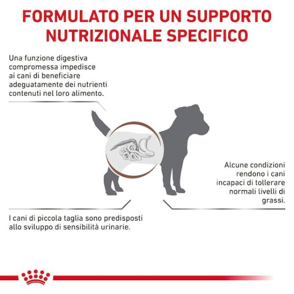 royal canin veterinary diet gastrointestinal low fat small breed immagine7