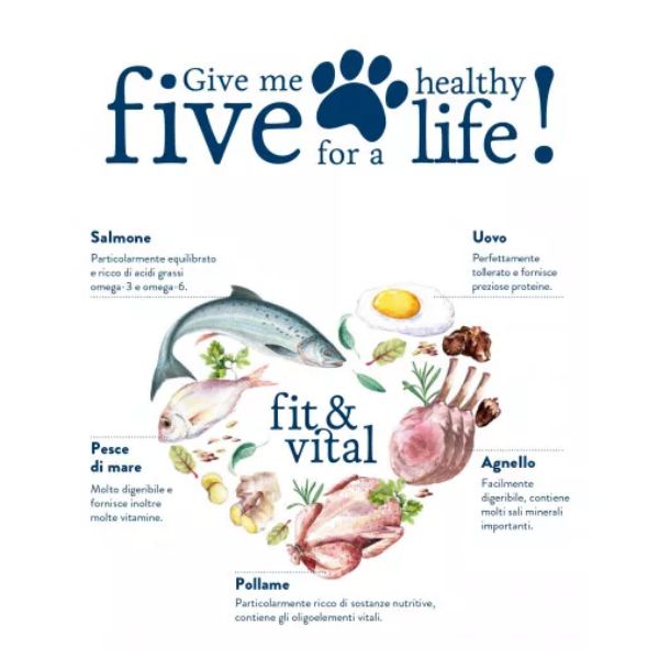 happy dog fit & vital medium/large light immagine5