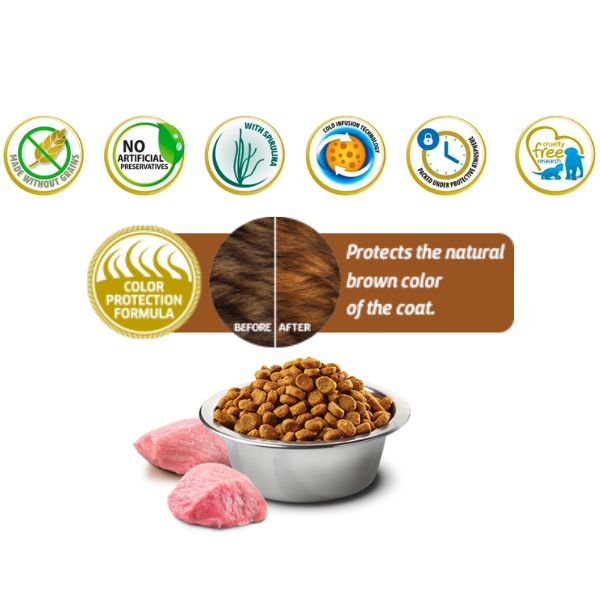 farmina n&d brown grain free adult mini agnello, spirulina e carote immagine3