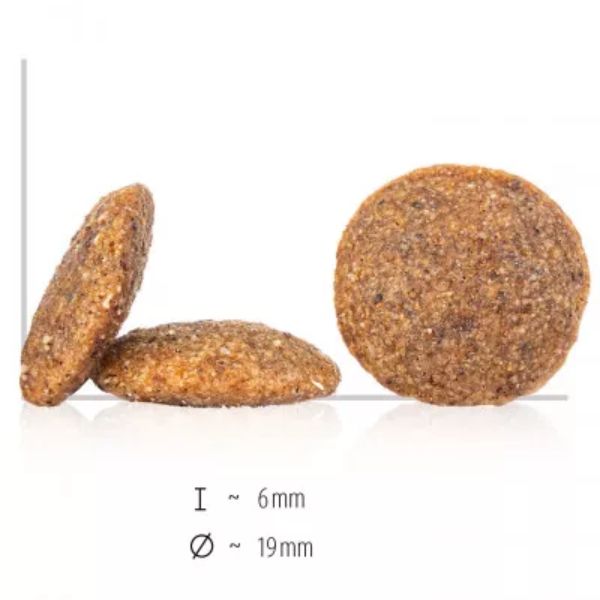 happy dog sensible medium/large andalucia grain free suino iberico e verdure immagine3