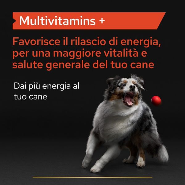 purina pro plan veterinary diets supplement multivitamins plus integratore per cani immagine3