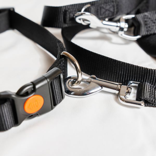 guinzaglio in nylon classic petup immagine9