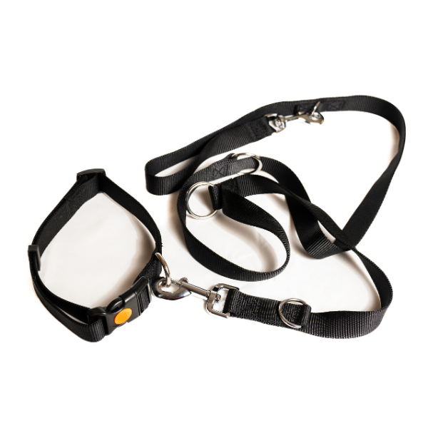 guinzaglio doppio da addestramento in nylon petup immagine6