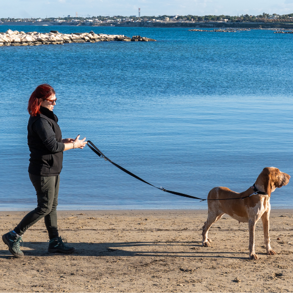 guinzaglio doppio da addestramento in nylon petup immagine10