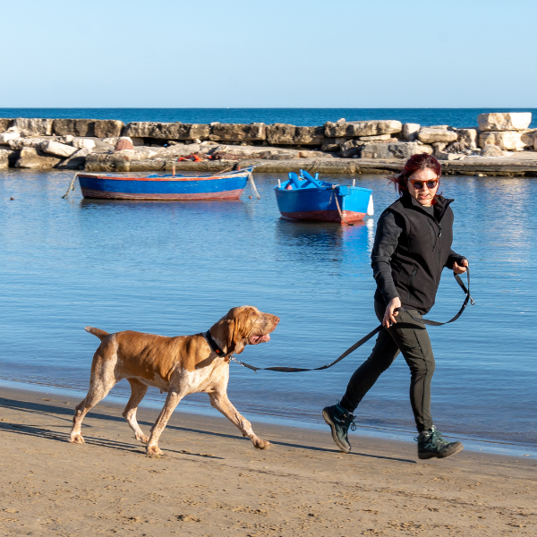 guinzaglio doppio da addestramento in nylon petup immagine8