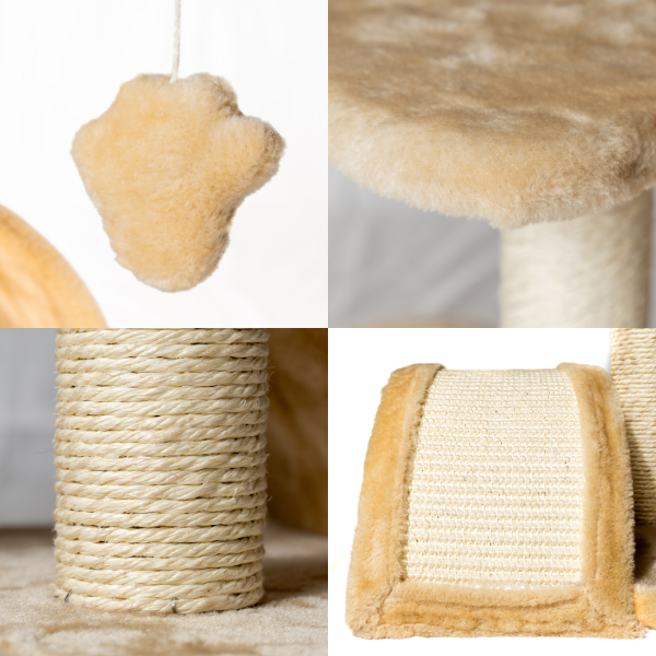 tiragraffi per gatti torino petup immagine4