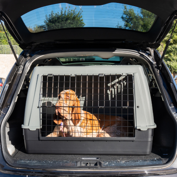 trasportino per auto bracco petup immagine4