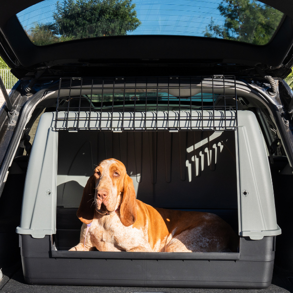 trasportino per auto bracco petup immagine2
