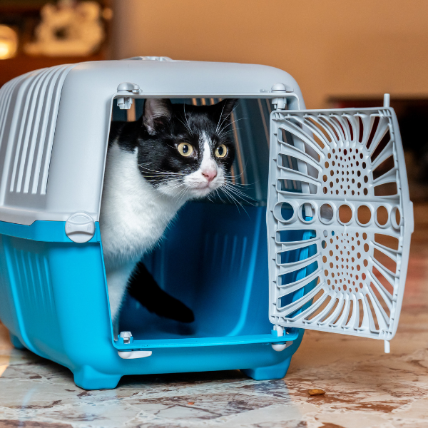 trasportino smart petup immagine8