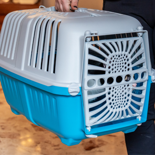 trasportino smart petup immagine6