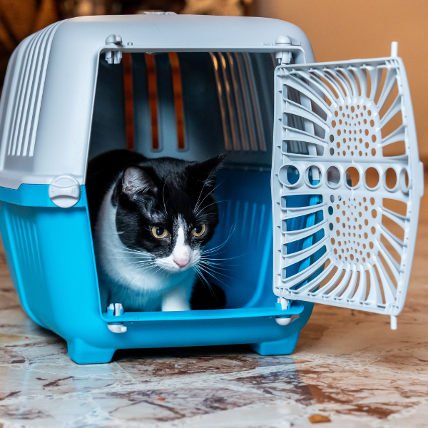 trasportino smart petup immagine7