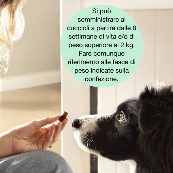 frontpro compresse antiparassitarie masticabili frontline immagine6