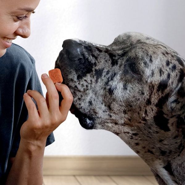 frontpro compresse antiparassitarie masticabili frontline immagine7