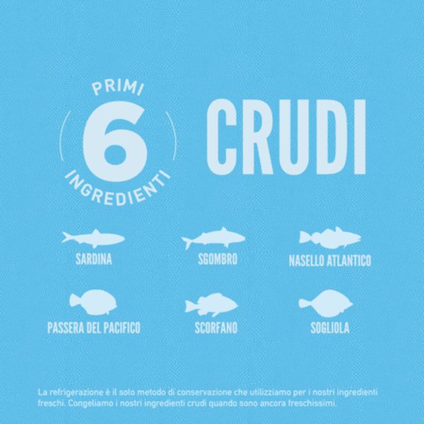 orijen six fish dog food immagine6