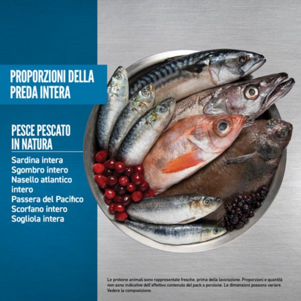 orijen six fish dog food immagine4