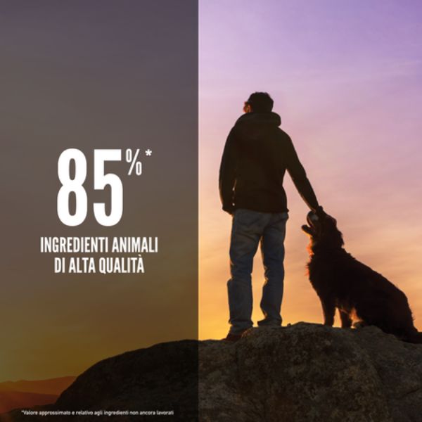 orijen regional red dog food immagine6