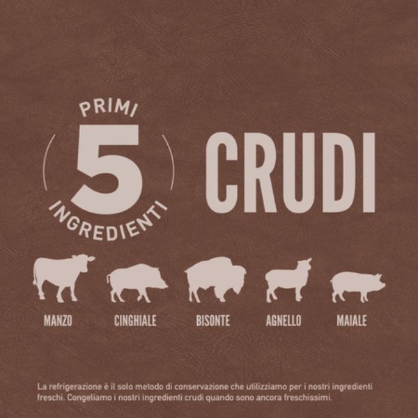 orijen regional red dog food immagine5