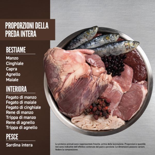 orijen regional red dog food immagine4