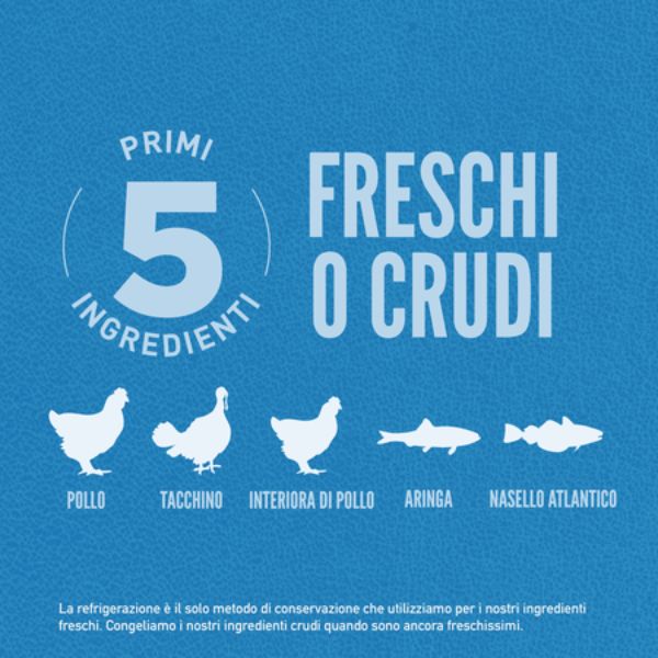 orijen original adult dog food immagine5