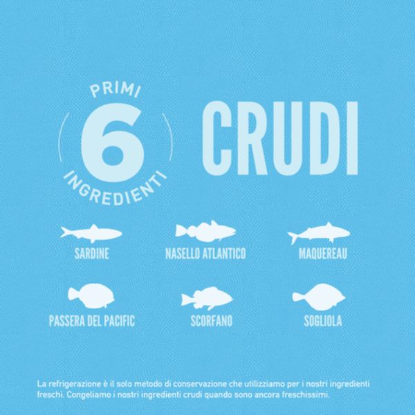 orijen six fish cat food immagine4