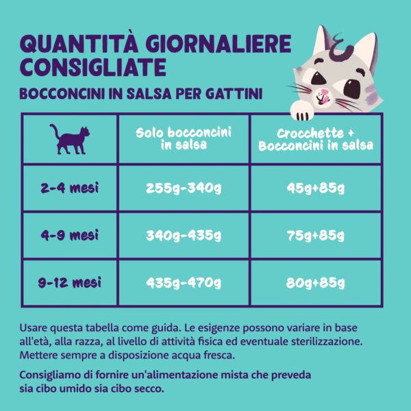 edgard & cooper cat kitten bocconcini in salsa grain free 85 gr immagine4