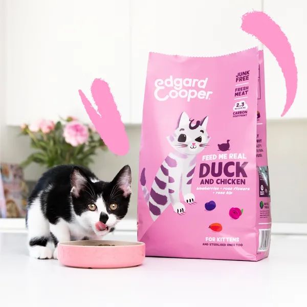 edgard & cooper cat kitten grain free anatra e pollo immagine4