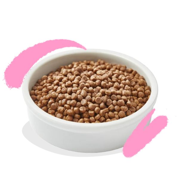 edgard & cooper cat kitten grain free anatra e pollo immagine3