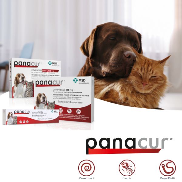 msd panacur forte compresse cane e gatto immagine3