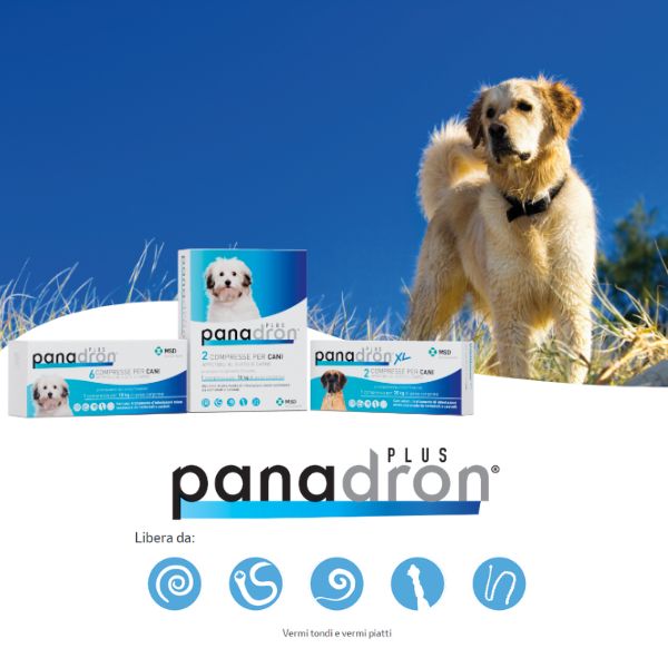 msd panadron plus vermifugo compresse per cani <35 kg immagine3
