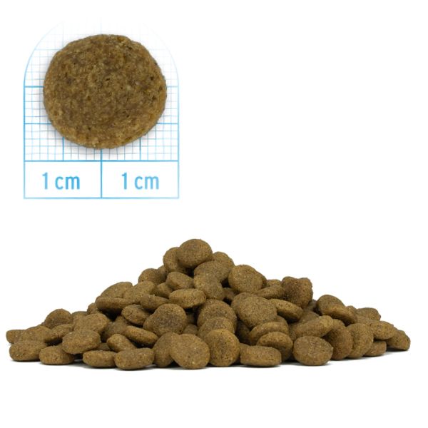 forza10 monodiet medium adult low grain hypoallergenic pesce immagine5