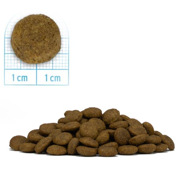 forza10 monodiet medium adult low grain hypoallergenic cervo con patate immagine5