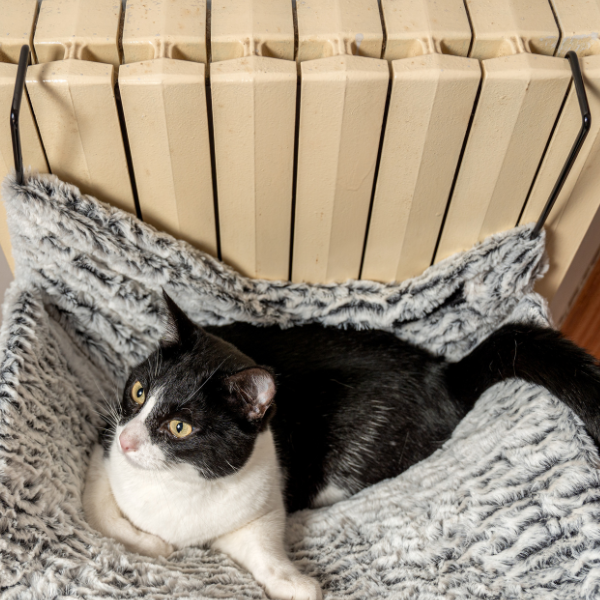 cuccia amaca da termosifone per gatto croci immagine8